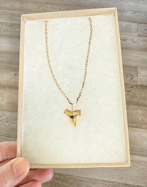 Golden Shark Necklace