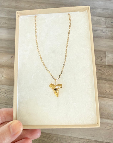 Golden Shark Necklace